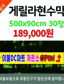 �Ը��� ������(�԰�)