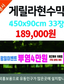 �Ը��������� 33�� ������ �����Ǹ�